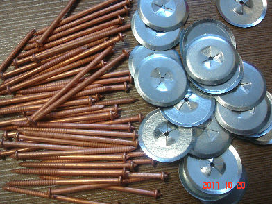 2011102012419756.jpg